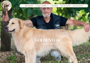 Golden Oak